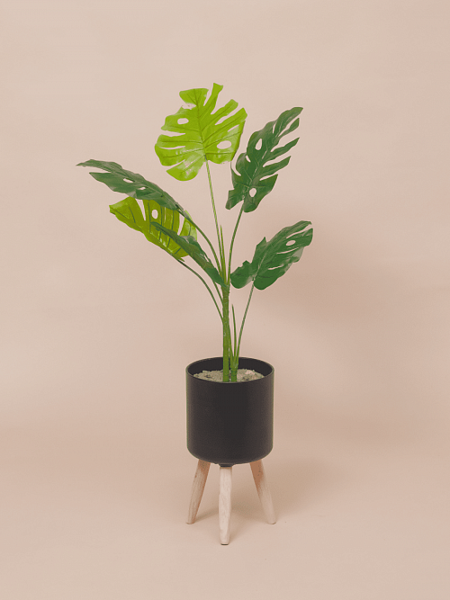 Искусственное растение (без горшка, 2 отдельных веточки - большая и поменьше), 65 см