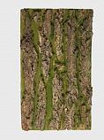 Декорация (Имитация коры дерева с мохом), 50x30 см, арт. 185080