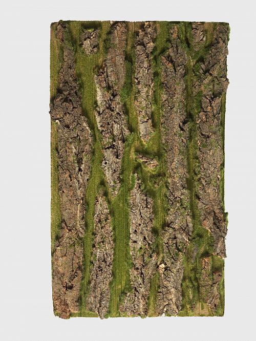 Декорация (Имитация коры дерева с мохом), 50x30 см, арт. 185080