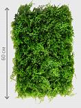Искусственная трава в модулях   размер 40х60 см, арт. E9918506