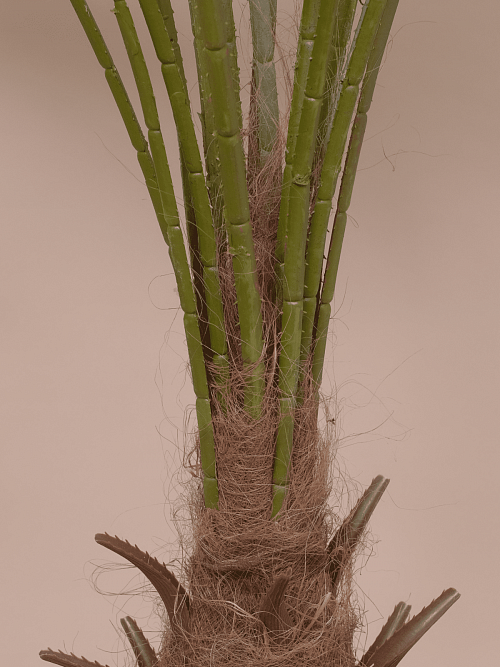 Искусственное растение (без горшка, 15 листьев на 1 стволе), 170 см