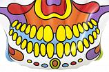 Hадувной плотик Fiesta Skull 193х141см, заплатка, Bestway, арт. 43194